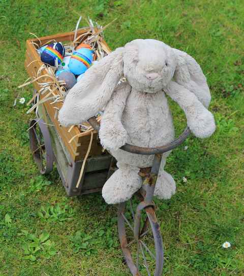easter-bunny-image