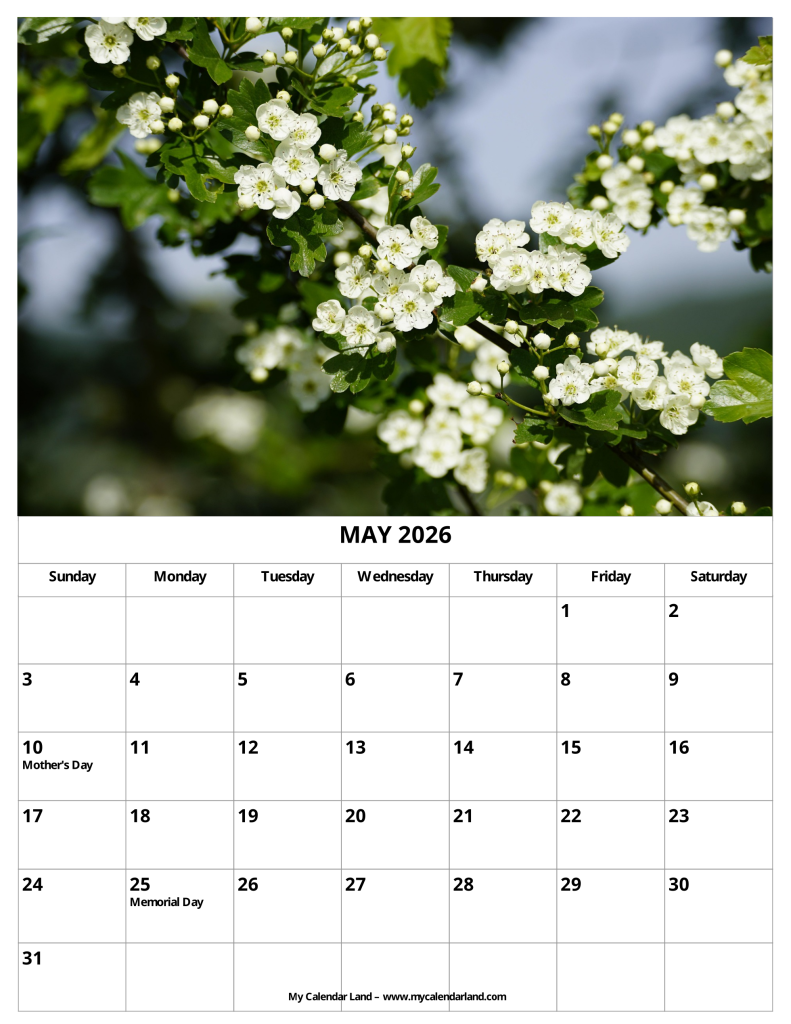 flower-of-may