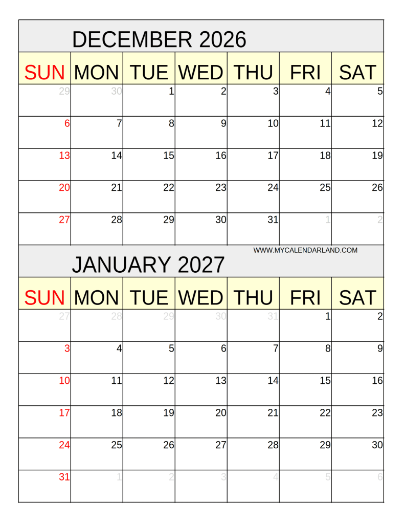 elegant-calendar-for-december-and-january